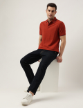 Cotton Striped Spread Collar Polo T-Shirt