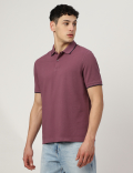 Cotton Striped Spread Collar Polo T-Shirt