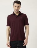 Pure Cotton Polo Neck Solid T-Shirt