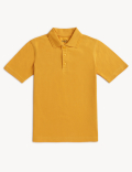 Pure Cotton Solid Polo T-Shirt
