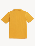 Pure Cotton Solid Polo T-Shirt