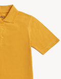 Pure Cotton Solid Polo T-Shirt