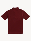 Pure Cotton Solid Polo T-Shirt