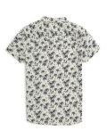Pure Cotton Tropical Spread Collar Shirt