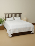 Pure Cotton Printed King Size Bedsheet Set