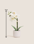 Artificial Real Touch Small Orchid in Pot