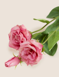 Set of 2 Artificial Real Touch Lisianthus Stems