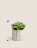 Artificial Mini Echeveria in Concrete Pot