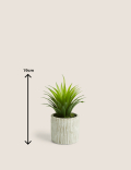 Artificial Mini Aloe in Concrete Pot