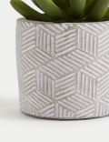Artificial Mini Succulent in Concrete Pot