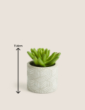 Artificial Mini Succulent in Concrete Pot