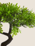 Artificial Bonsai Tree in Concrete Pot