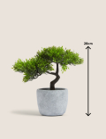 Artificial Bonsai Tree in Concrete Pot