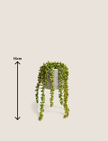 Artificial String of Pearls in Ceramic Pot
