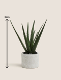 Artificial Aloe Plant in Pot