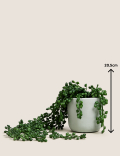 Artificial Mini Trailing Plant in Pot