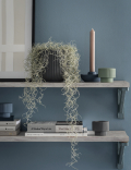 Large Ceramic Planter