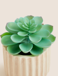 Artificial Mini Echeveria Succulent in Pot