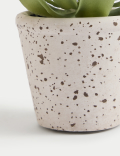 Artificial Succulent in Ceramic Pot