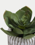 Artificial Succulent in Concrete Pot