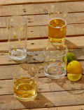 Set Of 4 Summer Fruits Picnic Highballs