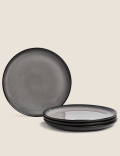 Set of 4 Amberley Ombre Dinner Plates