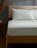 Pure Brushed Cotton Flat Sheet