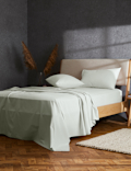 Pure Brushed Cotton Flat Sheet