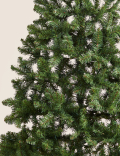 6ft Spruce Christmas Tree