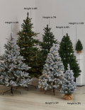 6ft Spruce Christmas Tree