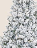 6ft Snowy Spruce Christmas Tree