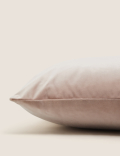 Velvet Cushion