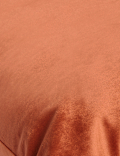 Velvet Cushion