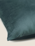 Velvet Cushion