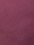 Velvet Cushion