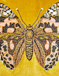 Velvet Butterfly Embroidered Cushion