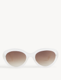 Oval Cat Eye Sunglasses