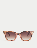 Square Sunglasses