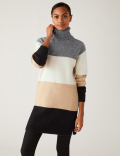 Striped Roll Neck Longline Jumper