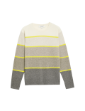 Pure Cashmere Striped Crew Neck Jumper