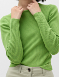 Ribbed Crew Neck Fitted Knitted Top