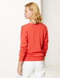 Pure Cotton V-Neck Jumper