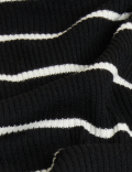 Striped Ribbed Roll Neck Jumper