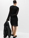 Jersey Lace Mini Skater Dress