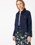 Pure Cotton Denim Jacket