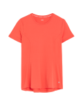 Scoop Neck Short Sleeve T-Shirt