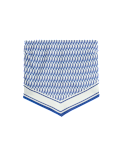 Printed Handkerchief Hem Bandeau Top