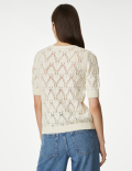 Pure Cotton Textured Round Neck Knitted Top