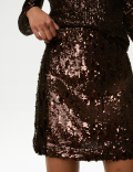 Sequin Mini A-Line Skirt