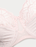 Amelia Lace Wired Full Cup Bra F-J